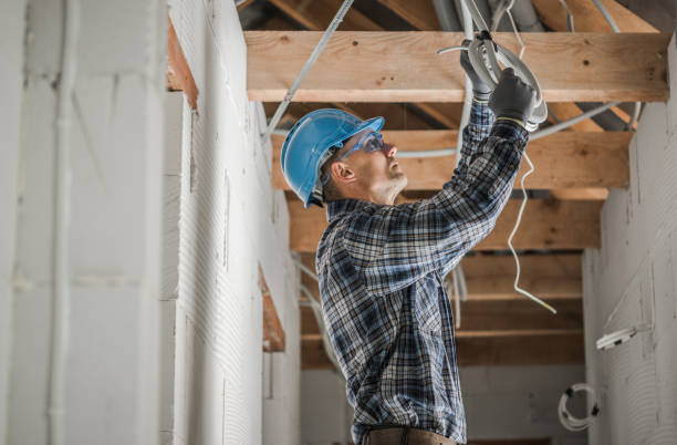 Best Electrical Rewiring Services  in Robins, IA